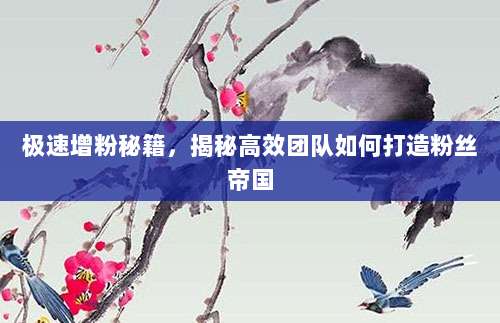 极速增粉秘籍,揭秘高效团队如何打造粉丝帝国