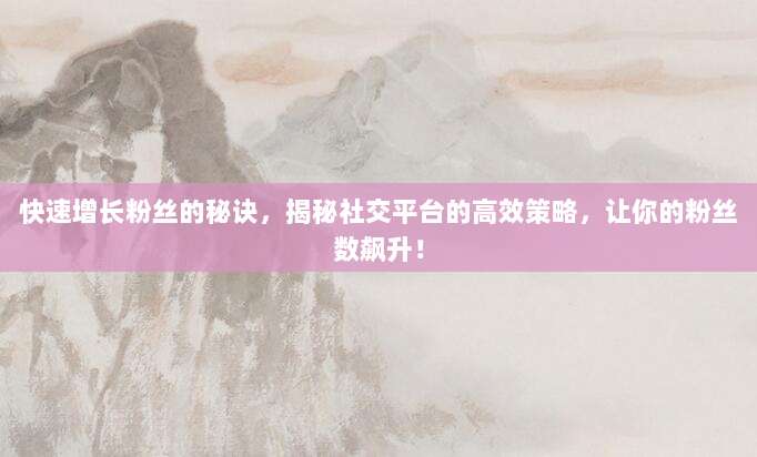 快速增长粉丝的秘诀,揭秘社交平台的高效策略,让你的粉丝数飙升!