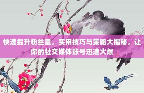 快速提升粉丝量,实用技巧与策略大揭秘,让你的社交媒体账号迅速火爆
