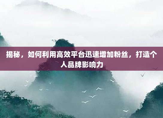 揭秘，如何利用高效平台迅速增加粉丝，打造个人品牌影响力