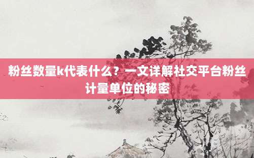 粉丝数量k代表什么?一文详解社交平台粉丝计量单位的秘密