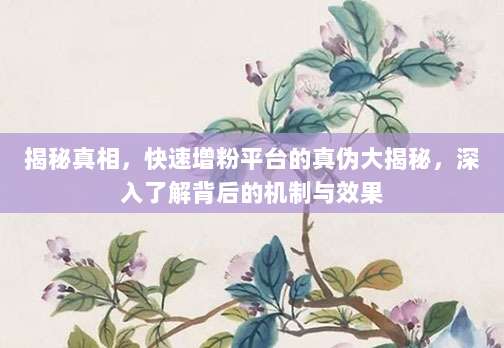 揭秘真相,快速增粉平台的真伪大揭秘,深入了解背后的机制与效果