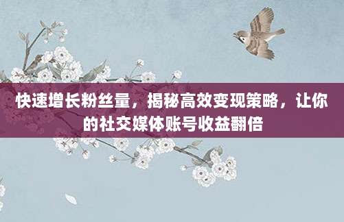 快速增长粉丝量,揭秘高效变现策略,让你的社交媒体账号收益翻倍