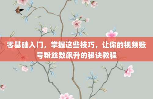 零基础入门,掌握这些技巧,让你的视频账号粉丝数飙升的秘诀教程