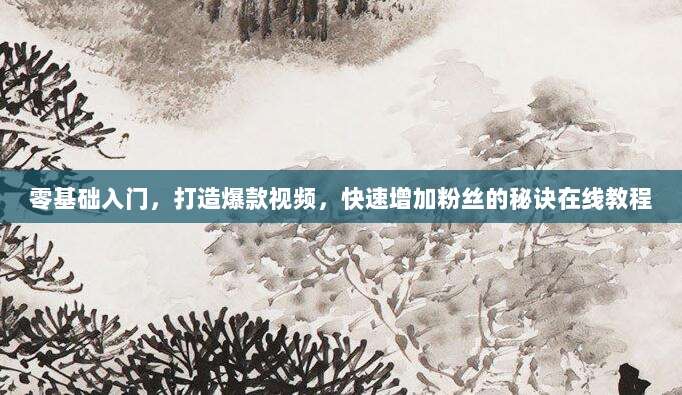 零基础入门,打造爆款视频,快速增加粉丝的秘诀在线教程