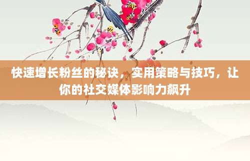 快速增长粉丝的秘诀,实用策略与技巧,让你的社交媒体影响力飙升
