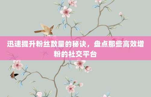 迅速提升粉丝数量的秘诀,盘点那些高效增粉的社交平台