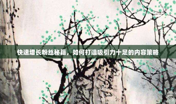 快速增长粉丝秘籍,如何打造吸引力十足的内容策略