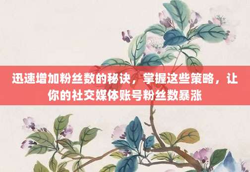 迅速增加粉丝数的秘诀,掌握这些策略,让你的社交媒体账号粉丝数暴涨