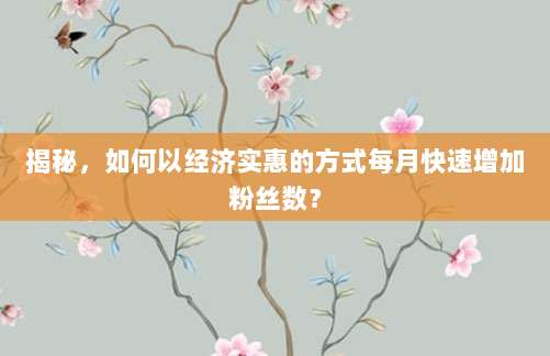 揭秘,如何以经济实惠的方式每月快速增加粉丝数?