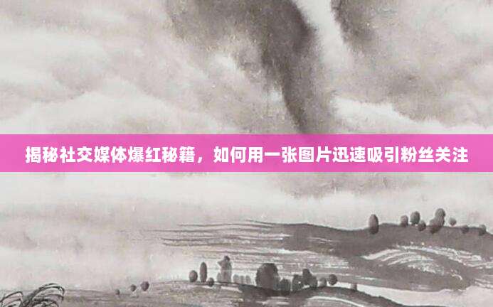 揭秘社交媒体爆红秘籍，如何用一张图片迅速吸引粉丝关注