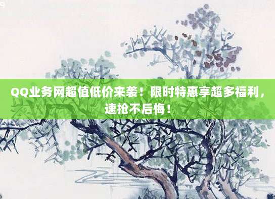 QQ业务网超值低价来袭!限时特惠享超多福利,速抢不后悔!