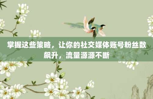 掌握这些策略,让你的社交媒体账号粉丝数飙升,流量源源不断