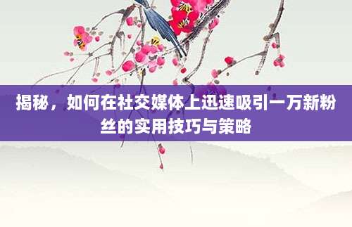 揭秘,如何在社交媒体上迅速吸引一万新粉丝的实用技巧与策略