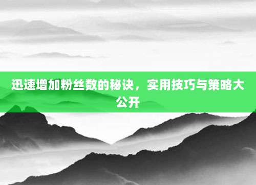 迅速增加粉丝数的秘诀,实用技巧与策略大公开