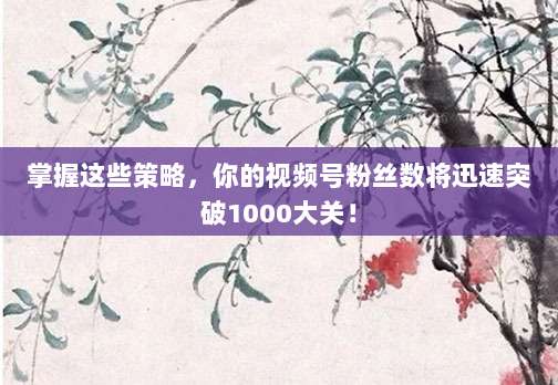 掌握这些策略,你的视频号粉丝数将迅速突破1000大关!