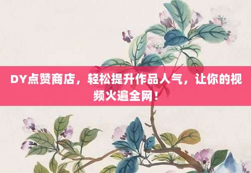DY点赞商店,轻松提升作品人气,让你的视频火遍全网!