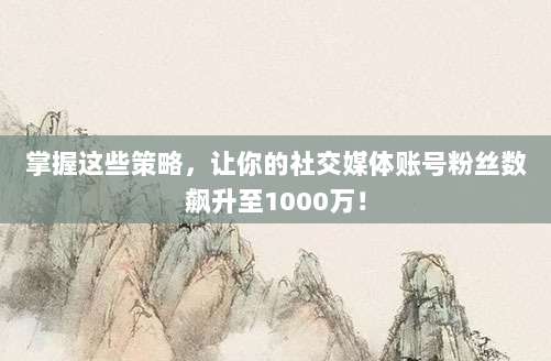 掌握这些策略,让你的社交媒体账号粉丝数飙升至1000万!