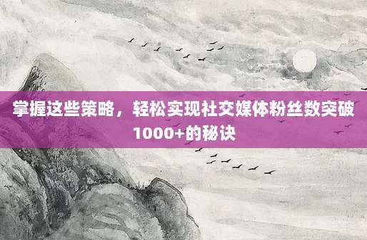掌握这些策略,轻松实现社交媒体粉丝数突破1000+的秘诀