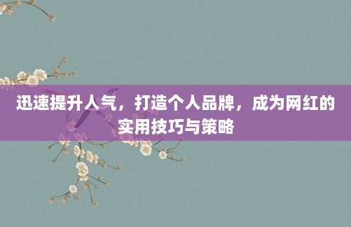迅速提升人气,打造个人品牌,成为网红的实用技巧与策略
