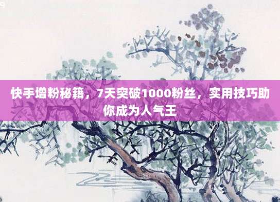 快手增粉秘籍,7天突破1000粉丝,实用技巧助你成为人气王