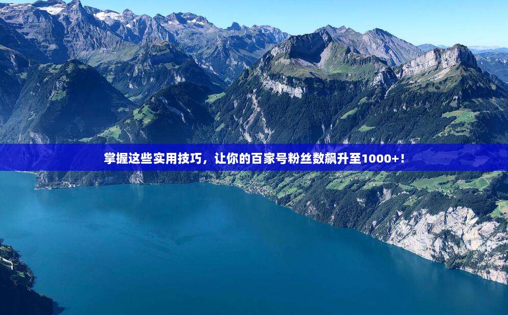 掌握这些实用技巧,让你的百家号粉丝数飙升至1000+!