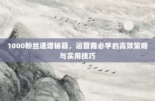 1000粉丝速增秘籍,运营商必学的高效策略与实用技巧
