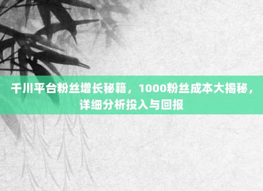 千川平台粉丝增长秘籍,1000粉丝成本大揭秘,详细分析投入与回报