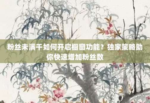粉丝未满千如何开启橱窗功能?独家策略助你快速增加粉丝数