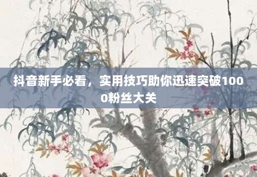 抖音新手必看,实用技巧助你迅速突破1000粉丝大关