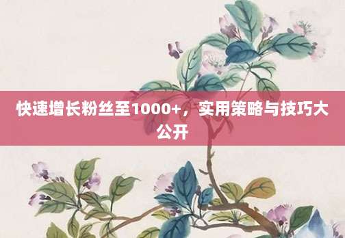 快速增长粉丝至1000+,实用策略与技巧大公开