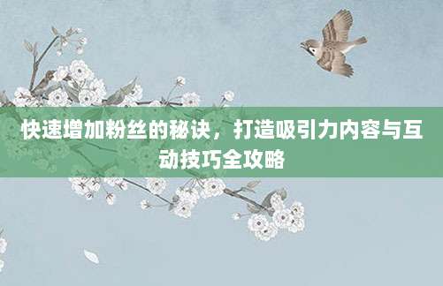 快速增加粉丝的秘诀，打造吸引力内容与互动技巧全攻略