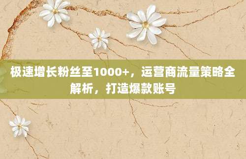 极速增长粉丝至1000+,运营商流量策略全解析,打造爆款账号