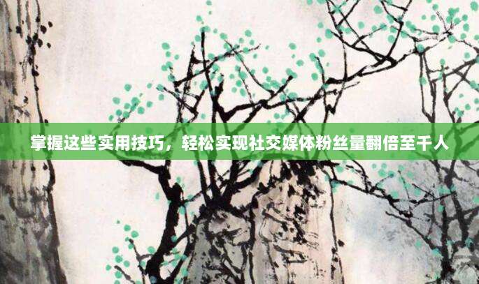 掌握这些实用技巧,轻松实现社交媒体粉丝量翻倍至千人