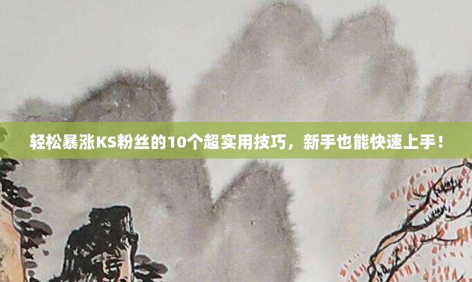 轻松暴涨KS粉丝的10个超实用技巧,新手也能快速上手!
