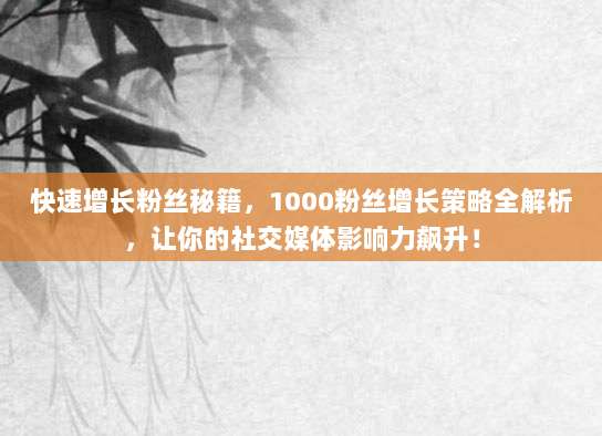 快速增长粉丝秘籍,1000粉丝增长策略全解析,让你的社交媒体影响力飙升!