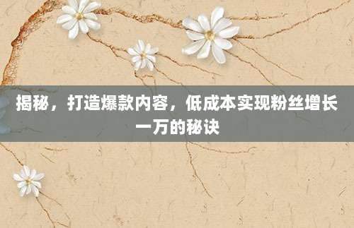 揭秘,打造爆款内容,低成本实现粉丝增长一万的秘诀
