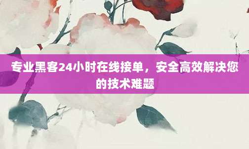 专业黑客24小时在线接单,安全高效解决您的技术难题