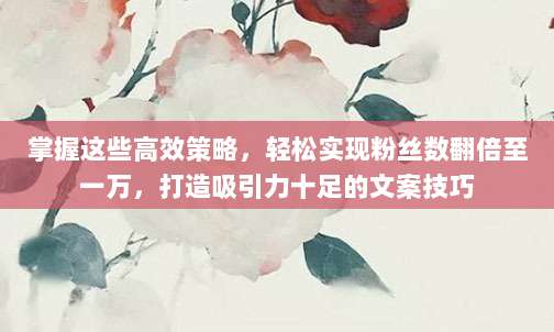 掌握这些高效策略,轻松实现粉丝数翻倍至一万,打造吸引力十足的文案技巧