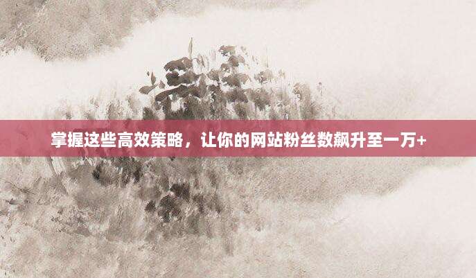 掌握这些高效策略,让你的网站粉丝数飙升至一万+