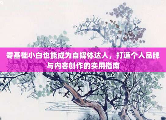 零基础小白也能成为自媒体达人,打造个人品牌与内容创作的实用指南