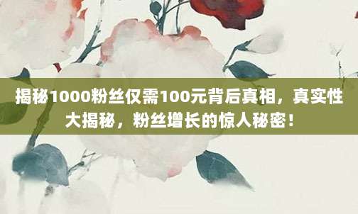 揭秘1000粉丝仅需100元背后真相,真实性大揭秘,粉丝增长的惊人秘密!