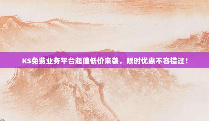 KS免费业务平台超值低价来袭,限时优惠不容错过!