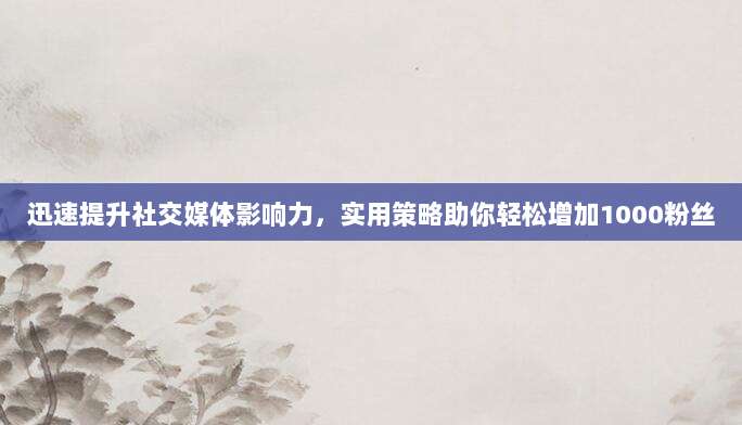 迅速提升社交媒体影响力,实用策略助你轻松增加1000粉丝