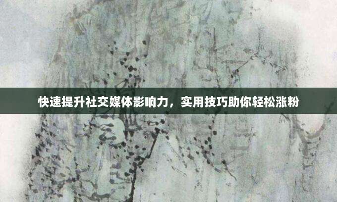 快速提升社交媒体影响力,实用技巧助你轻松涨粉