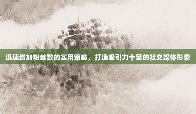迅速增加粉丝数的实用策略，打造吸引力十足的社交媒体形象