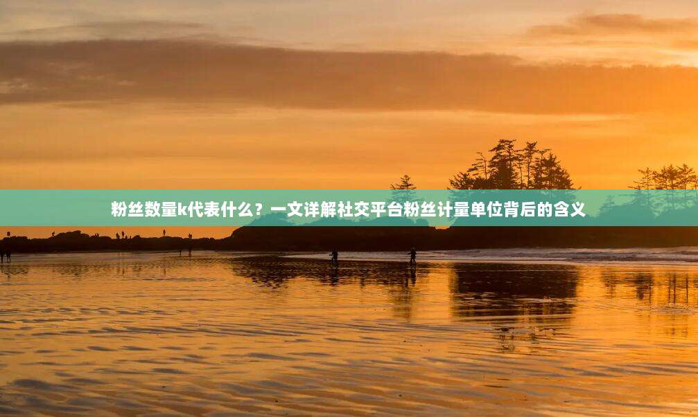 粉丝数量k代表什么?一文详解社交平台粉丝计量单位背后的含义