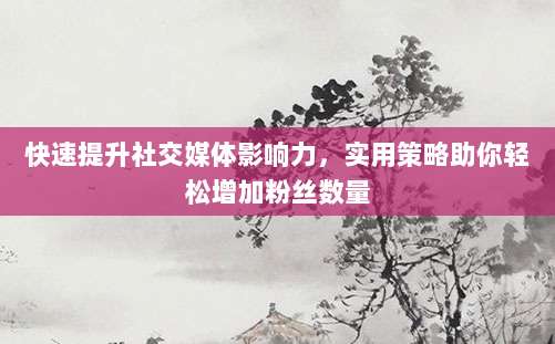 快速提升社交媒体影响力,实用策略助你轻松增加粉丝数量