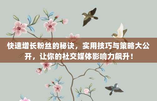 快速增长粉丝的秘诀,实用技巧与策略大公开,让你的社交媒体影响力飙升!