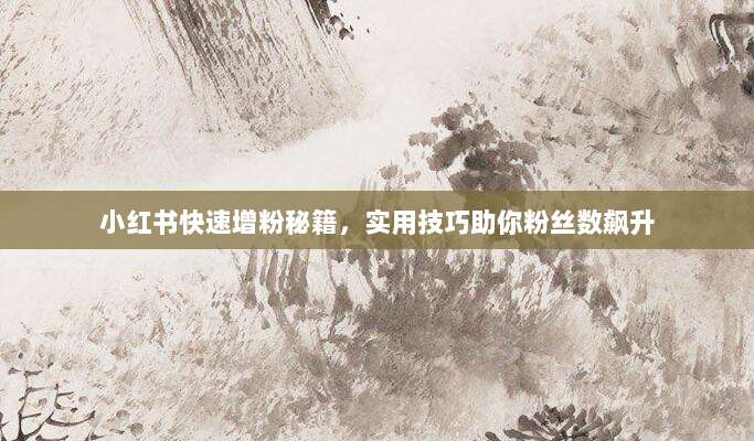 小红书快速增粉秘籍,实用技巧助你粉丝数飙升